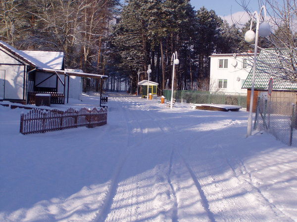 Gąski im Winter — Foto 5