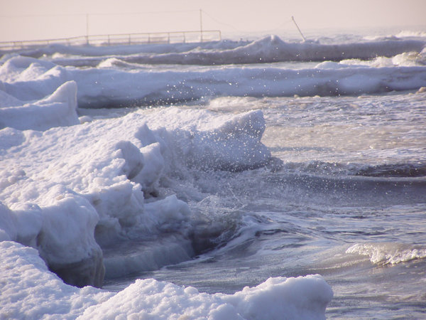 Gąski im Winter — Foto 6