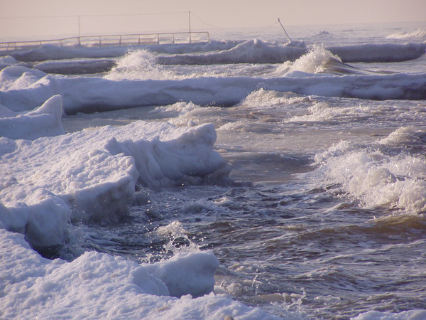 Gąski im Winter — Foto 9