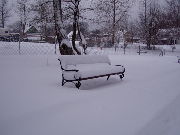 Gąski im Winter — Foto 10