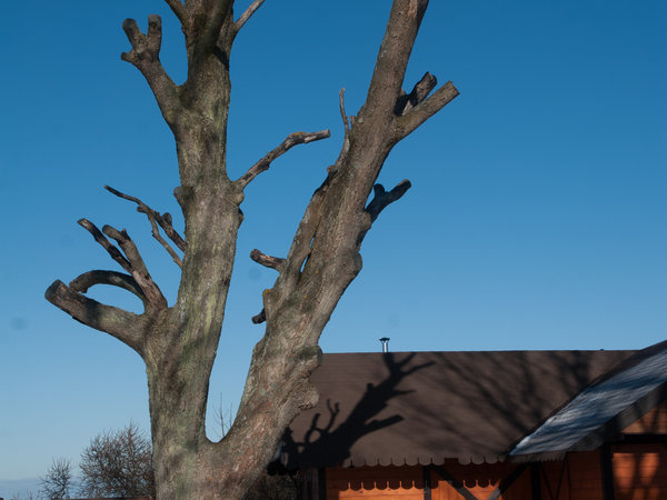 Gąski im Winter — Foto 15