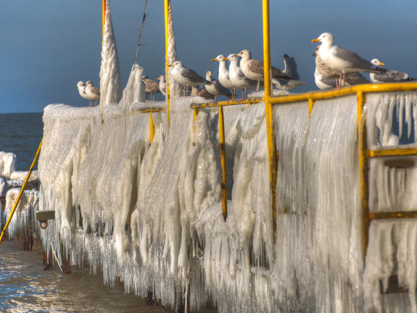 Gąski im Winter — Foto 17