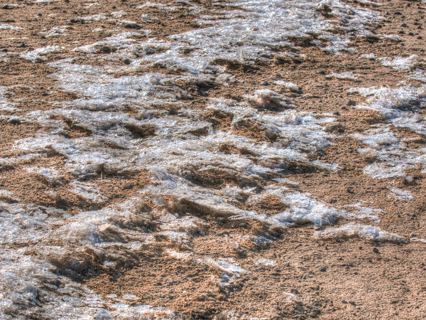 Gąski im Winter — Foto 23